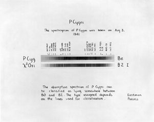 Plate 14