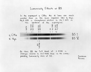 Plate 16