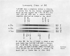Plate 7