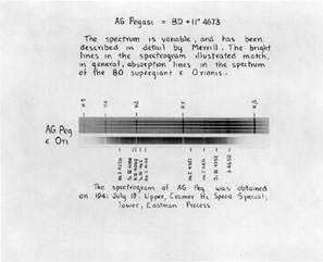 Plate 8