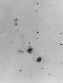 Arp 314