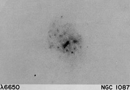 NGC 1087