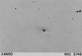 NGC 2146