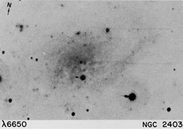 NGC 2403