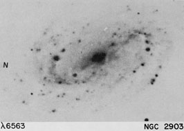 NGC 2903