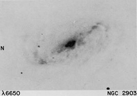 NGC 2903