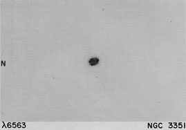 NGC 3351