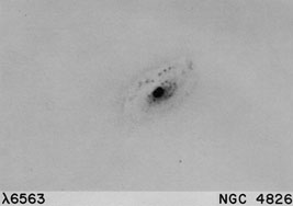 NGC 4826