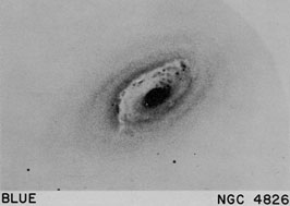 NGC 4826