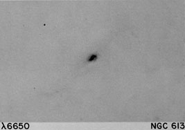 NGC 613