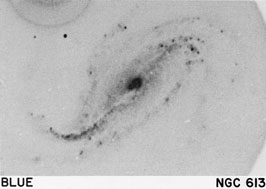 NGC 613