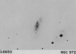 NGC 972
