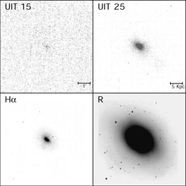 Figure 10a