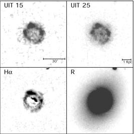 Figure 11a