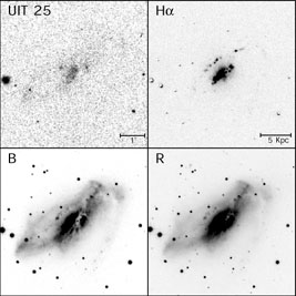 Figure 14a
