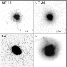 Figure 16a