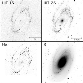 Figure 17a