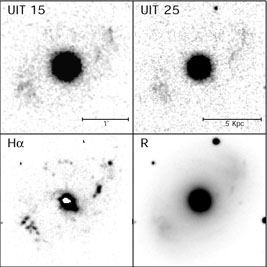 Figure 21a