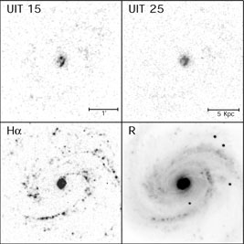 Figure 22a