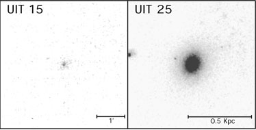 Figure 4a
