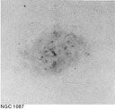 NGC 1087