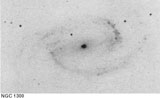 NGC 1300