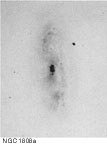 NGC 1808