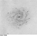 NGC 3346