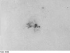 NGC 3690