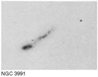 NGC 3991