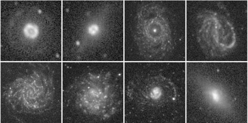 Figure 38