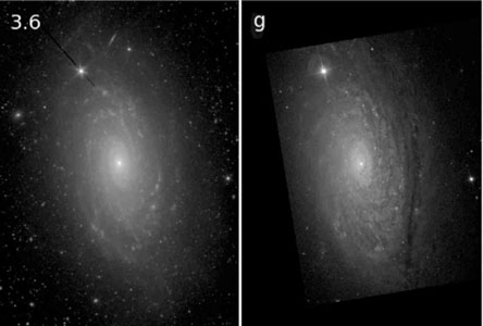 Figure 44