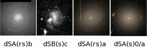 Figure 51