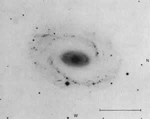 NGC 210
