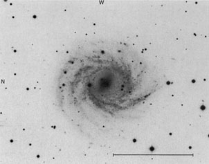 NGC 2223